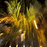 Neujahrsgruß