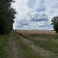 Irgendwo da vorn soll er sein.
